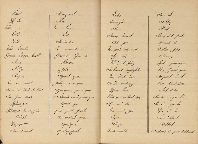 Scripta Manent Manuscript French-English dictionary: Verba galant scripta manent
